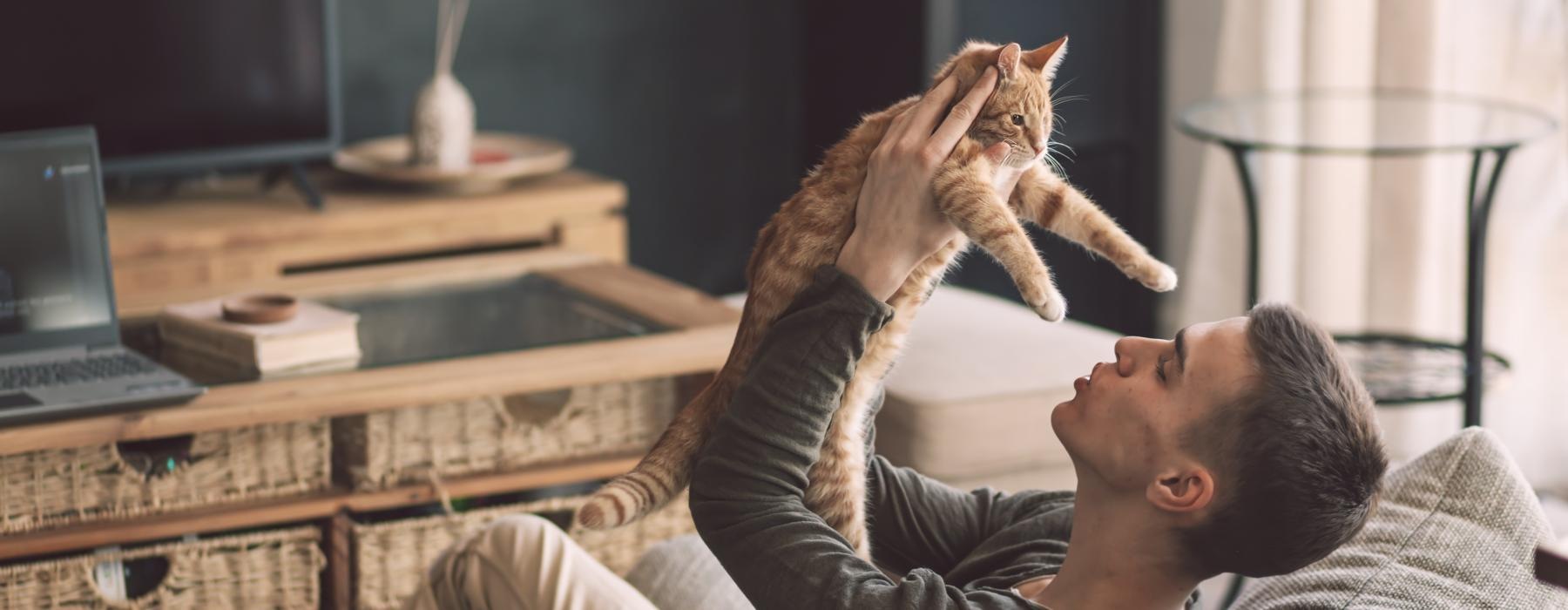 a person lying on a couch with a cat on the head