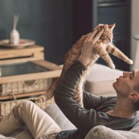 We welcome your pet family a person lying on a couch with a cat on the head